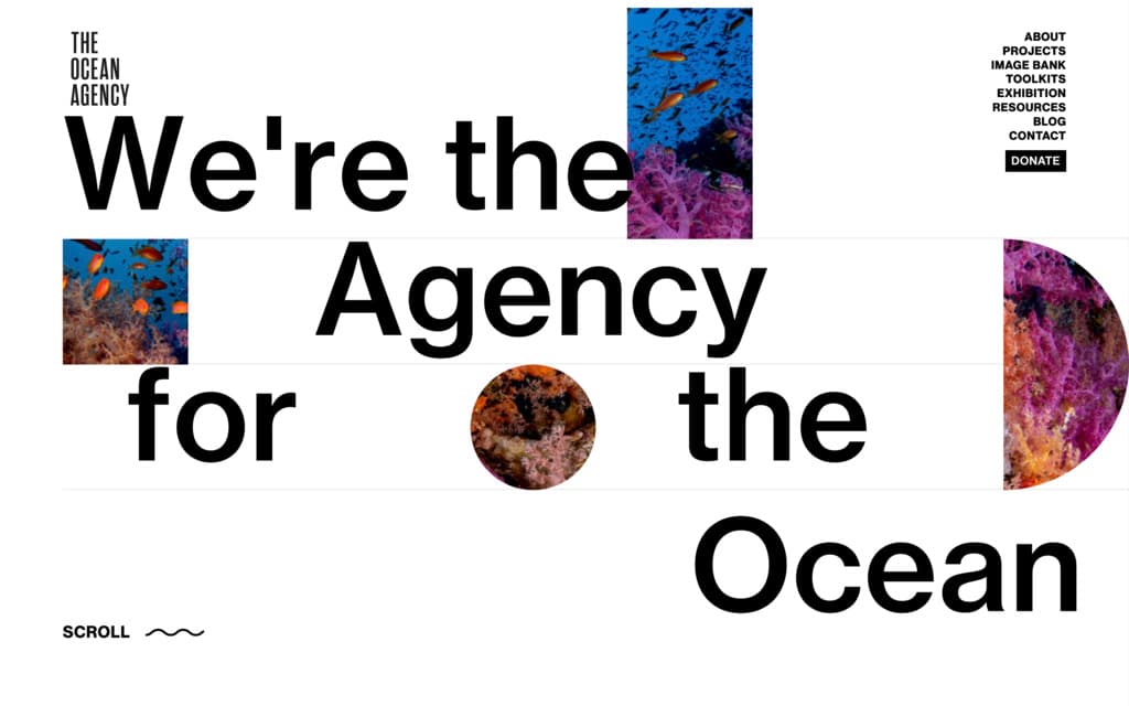 The Ocean Agency